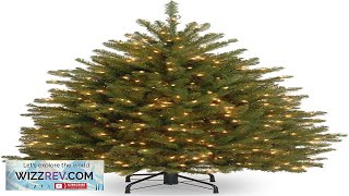 National Tree Company PreLit Artificial Mini Christmas Tree Green Dunhill Fir White Review [upl. by Sokil]