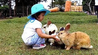 Seru Banget Bermain dengan Kelinci amp Kasih Makan Kelinci di Taman Kelinci DeRanch Lembang [upl. by Nosnej]