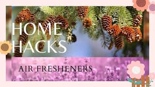 How To Reuse Plug In Air Wick Air Freshener Home Hacks [upl. by Nerot]