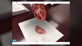 Using Augmented Reality Lab Activities  Human Anatomy Atlas [upl. by Akital]