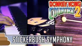 David Wise  Stickerbrush Symphony Donkey Kong Country 2 [upl. by Tenrag]