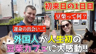 日本に来て1日目！人生初の豆柴カフェに行ってみたら感動が止まらない！！【運命の出会い】 [upl. by Vernita636]