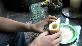 How to Save Cucumber Seeds  A Seed Saving Series [upl. by Evangelist611]