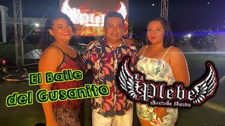 El Baile Del Gusanito  VIDEO OFICIAL   La Plebe Norteño Banda  Gigantes De La Costa [upl. by Towroy]