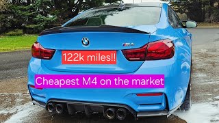 The Cheapest F82 M4 in the UK [upl. by Alansen985]