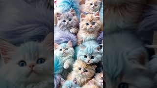 Cuties cat cute love catlover youtubeshorts baby ai [upl. by Thetisa750]