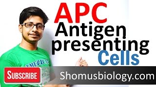 Antigen presenting cells APC [upl. by Manny]