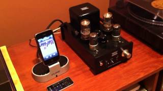 Musical Paradise MP301 MKII Tube Amp with a Pure i20 DAC and Dynaco A25 [upl. by Sloane]