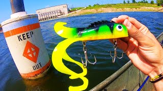 GIANT MUSKY LURE CATCHES 50 LB MONSTER [upl. by Beret66]