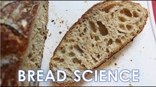 The Science of Bread Part 1  Flour Water Yeast Salt [upl. by Elttil]