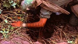 US Army soldiers passing through jungle during operations in Vietnam and digging HD Stock Footage [upl. by Goraud]