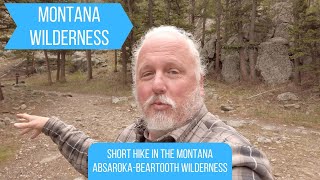 AbsarokeeBeartooth Wilderness Hike Along Stillwater River [upl. by Starks]