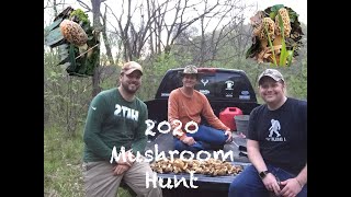 Mushroom Hunting Big Morels April 2020Southern Ohio [upl. by Lantz]