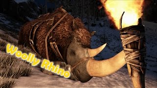 ARK Survival Evolved  Whoolly Rhino Update v2381 [upl. by Aseyt263]