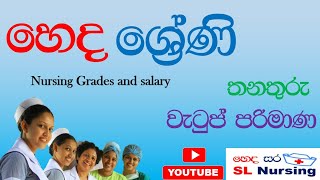 Sri Lanka nursing salary and nursing grades හෙද වැටුප් පරිමාණය  Hedasara [upl. by Nahshon455]