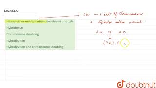 Hexaploid or modern wheat developed through  12  CHROMOSOMAL BASIS OF INHERITANCE  BIOLOGY [upl. by Eniamret]