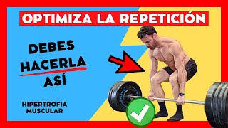 FASE EXCÉNTRICA ¿Es IMPORTANTE para la GANANCIA MUSCULAR o NO 💪🏻⚠️ [upl. by Woodford359]