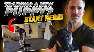 First Step to Training Your New Puppy [upl. by Aihsenrad]