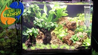 Best Ways To Maintain A Fish Tank 10 Things You Should Know About Aquarium Maintenance [upl. by Hael]