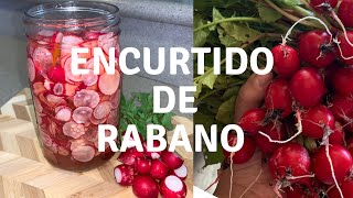 Receta Encurtido De Rábano Super Fácil 😋 encurtidoderabanos rabanos [upl. by Brice]