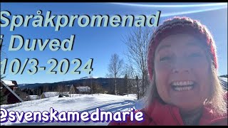 Språkpromenad i Duved 103 2024  Svenska med Marie [upl. by Timmons900]