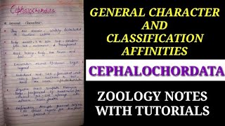 GENERAL CHARACTER AND CLASSIFICATION OF CEPHALOCHORDATA IN HINDI cephalochordatanotes zoology vbu [upl. by Eerak]