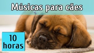 MÚSICAS PARA RELAXAR CÃES AGITADOS TESTADO [upl. by Apthorp988]