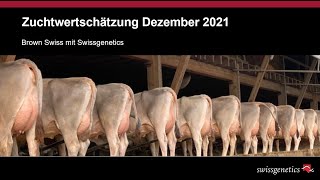 BROWN SWISS Update swissgenetics DEZEMBER 2021 [upl. by Ahse]