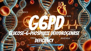 G6PD  Glucose6phosphate dehydrogenase deficiency  Genetic Testing  Labnetics [upl. by Nebe]