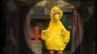 Sesame Street  Big Bird and the gang sings about the number 4 Four [upl. by Smailliw]