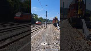 SBB Personenzüge bei Wohlenschwil [upl. by Cadmar543]