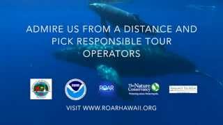 Respect Our Marine Wildlife Public Service Announcement PSA [upl. by Emery]