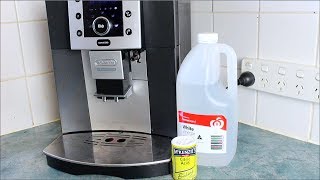 Homemade Coffee Descaler  How to video [upl. by Sirhc]