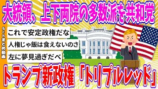 【2chまとめ】下院も共和多数派、トランプ新政権「トリプルレッド」に【ゆっくり】 [upl. by Lyons]