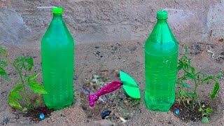 Como hacer riego por goteo casero y automatico con botellas de plastico [upl. by Yehudi]