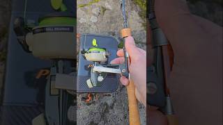 Ultralight Fishing Abu Cardinal 33 Sea Run Rainbow Trout fishing troutfishing abugarcia [upl. by Dnalram]