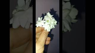 dher sare mogre ke phool [upl. by Radke]