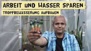 Diese Bewässerung funktioniert so einfach und genial Aufbau und Funktion der Blumat Bewässerung [upl. by Simdars]