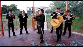 Mariachi Sol De Oro De Torreon Coah  Cuatro Meses [upl. by Elisabetta]