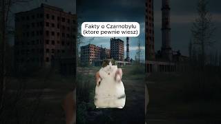 CZARNOBYL SZOKUJĄCE FAKTY shorts ciekawostki [upl. by Sugar]