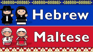 SEMITIC HEBREW amp MALTESE [upl. by Hamforrd]