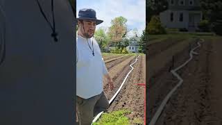 Planting Spinach Organic  Regenerative Farm Enriched soil with Micelium  see full video [upl. by Dirfliw]