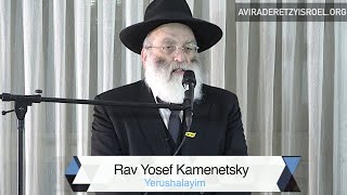 Rav Yosef Kamenetsky Welcomes Chareidi Olim to Eretz Yisrael [upl. by Alissa778]