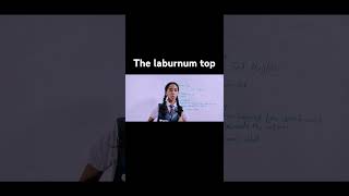 The laburnum Top class 11th English shortvideo english laburnumtop ytshorts [upl. by Cahan]