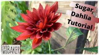 Sugar Dahlia Video Tutorial ⎮ How to make a realistic sugar dahlia flower ⎸Dalia Flower Tutorial [upl. by Enrica792]