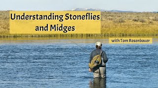 Understanding Stoneflies and Midges with Tom Rosenbauer [upl. by Anivol]