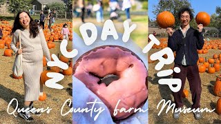 Pumpkin Patch in NYC 🎃 Queens County Farm Museum [upl. by Errick540]