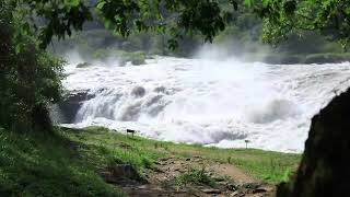 The waters of murchison falls in Uganda [upl. by Zrike]