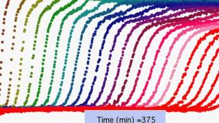 Dr Jeffrey Fagan  Analytical Ultracentrifugation of Carbon Nanotubes [upl. by Hako621]