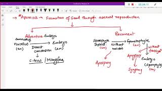 apomixis polyembryony apospory and apogamy [upl. by Gibson195]